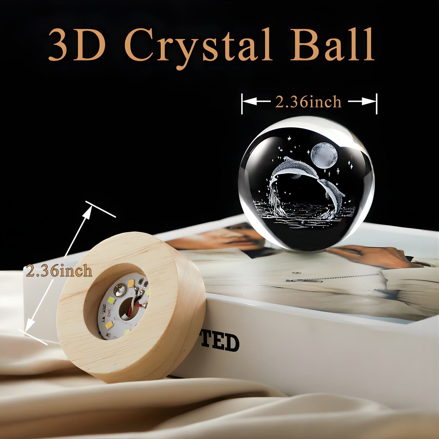 3D Crystal Dolphin Moon Lamp with Wooden Touch Base | LED Astronomy Night Lamp for Bedroom, Living Room & Home Decor